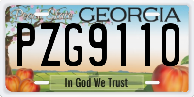 GA license plate PZG9110