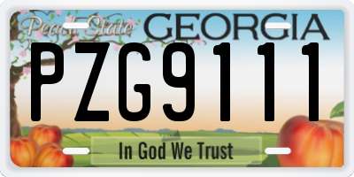 GA license plate PZG9111