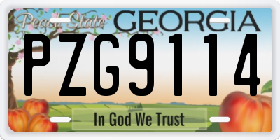 GA license plate PZG9114