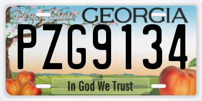GA license plate PZG9134