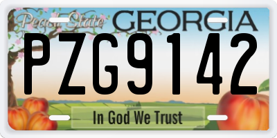 GA license plate PZG9142