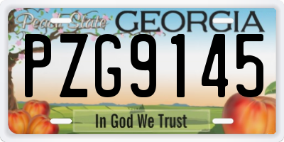 GA license plate PZG9145