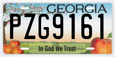 GA license plate PZG9161