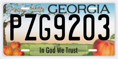 GA license plate PZG9203