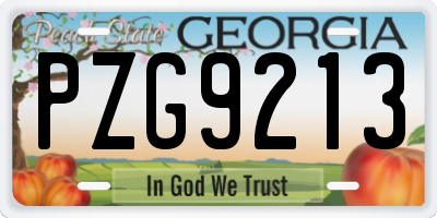 GA license plate PZG9213