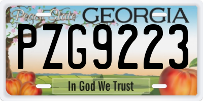 GA license plate PZG9223