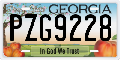 GA license plate PZG9228