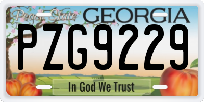 GA license plate PZG9229