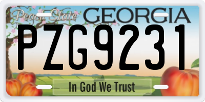 GA license plate PZG9231