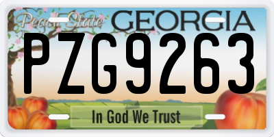 GA license plate PZG9263