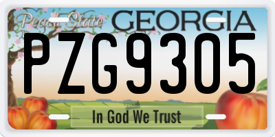 GA license plate PZG9305