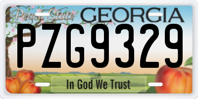GA license plate PZG9329