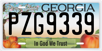 GA license plate PZG9339
