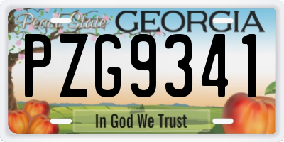 GA license plate PZG9341