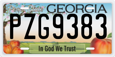 GA license plate PZG9383