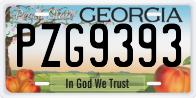 GA license plate PZG9393