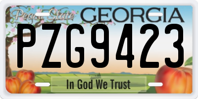 GA license plate PZG9423