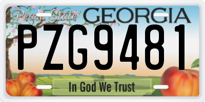 GA license plate PZG9481
