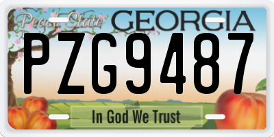GA license plate PZG9487