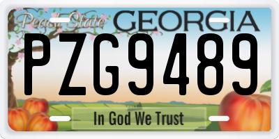 GA license plate PZG9489