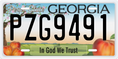 GA license plate PZG9491