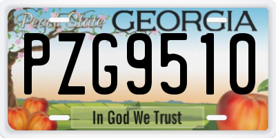 GA license plate PZG9510