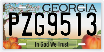 GA license plate PZG9513