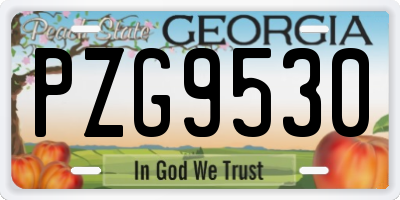 GA license plate PZG9530