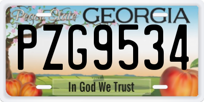 GA license plate PZG9534