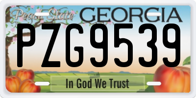 GA license plate PZG9539