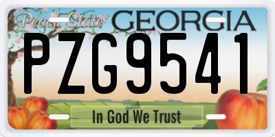 GA license plate PZG9541