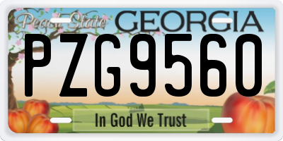 GA license plate PZG9560