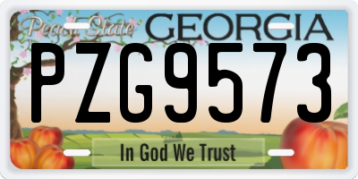 GA license plate PZG9573