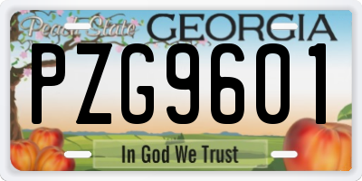 GA license plate PZG9601