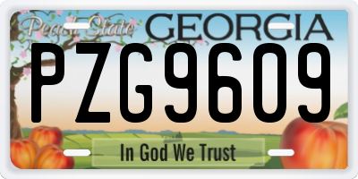 GA license plate PZG9609