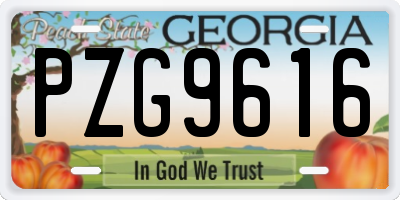 GA license plate PZG9616