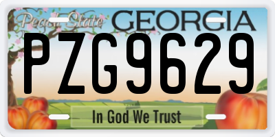 GA license plate PZG9629