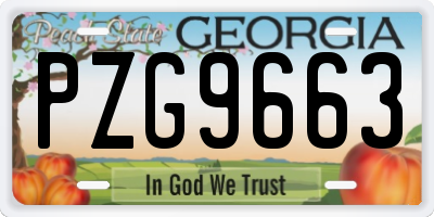 GA license plate PZG9663