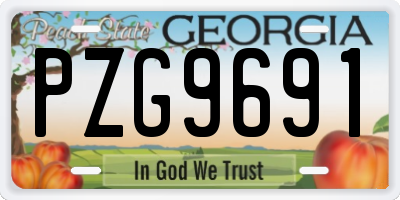 GA license plate PZG9691