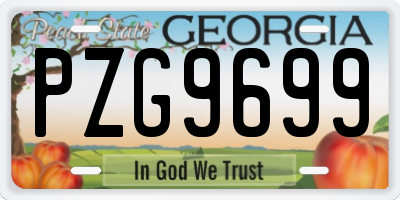 GA license plate PZG9699