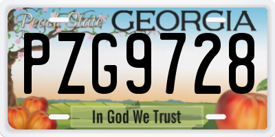 GA license plate PZG9728