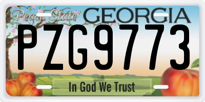GA license plate PZG9773