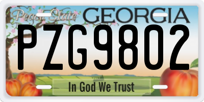 GA license plate PZG9802