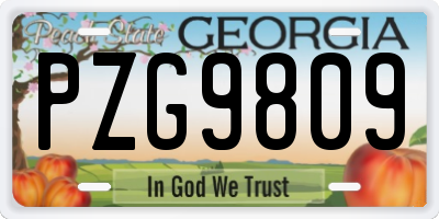 GA license plate PZG9809