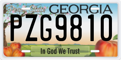 GA license plate PZG9810