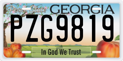 GA license plate PZG9819