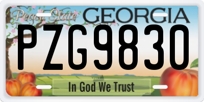 GA license plate PZG9830