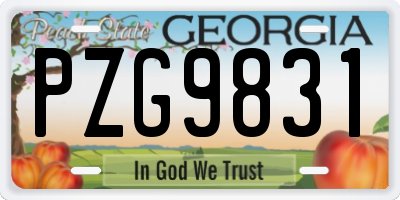 GA license plate PZG9831