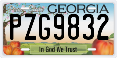 GA license plate PZG9832