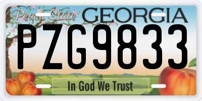 GA license plate PZG9833
